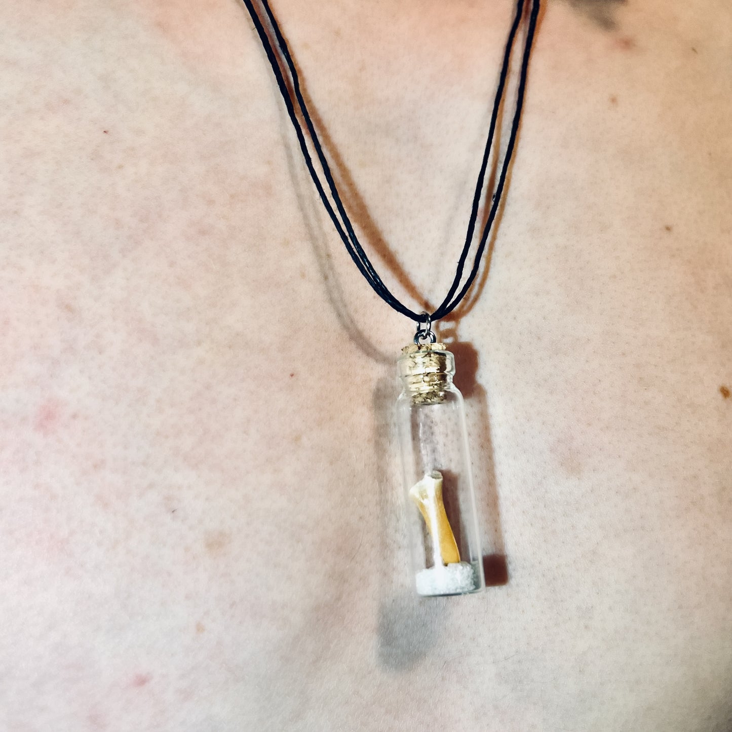 Sand Tiger Shark vial