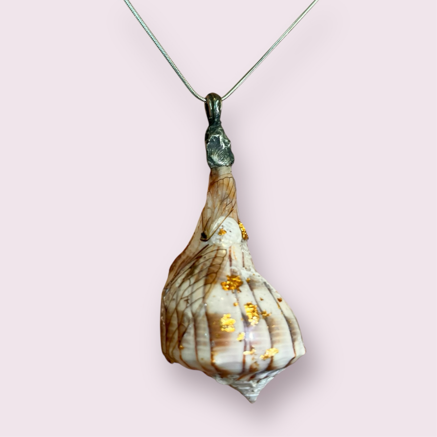 Dragonfly wings on Shell