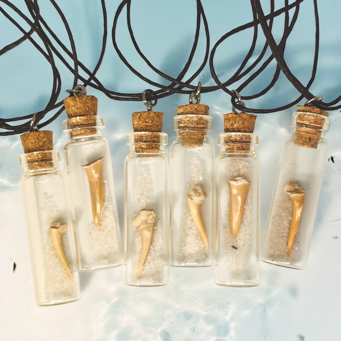 Sand Tiger Shark vial