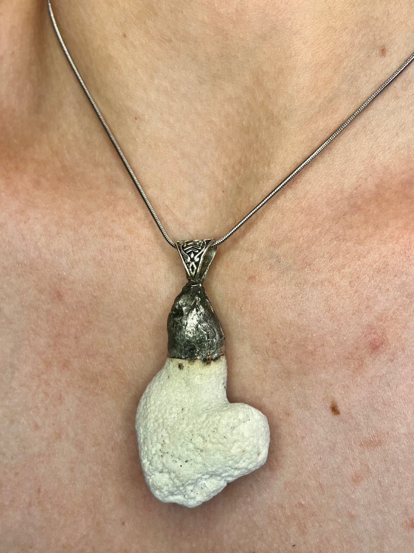 Fossilized Coral Pendant