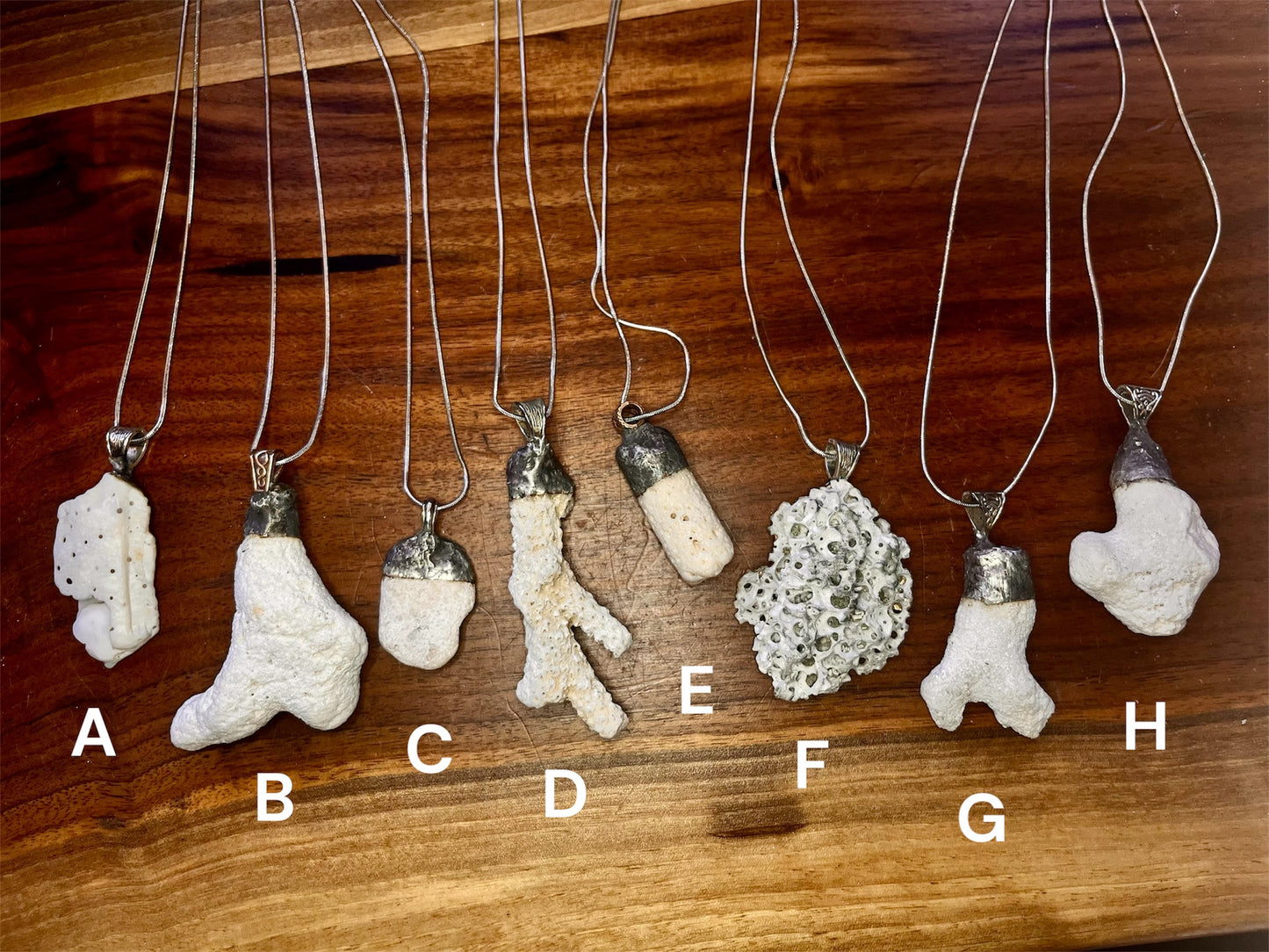 Fossilized Coral Pendant