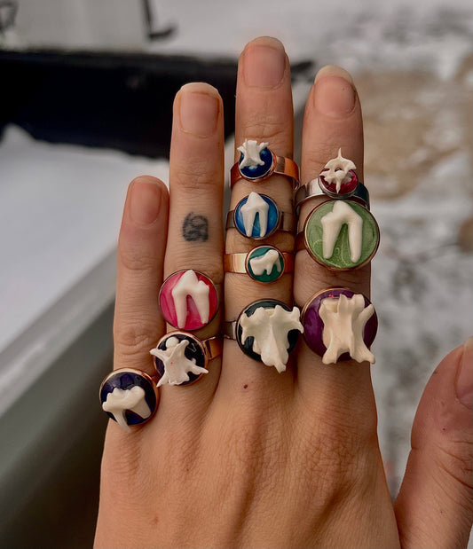 Real Bone Rings