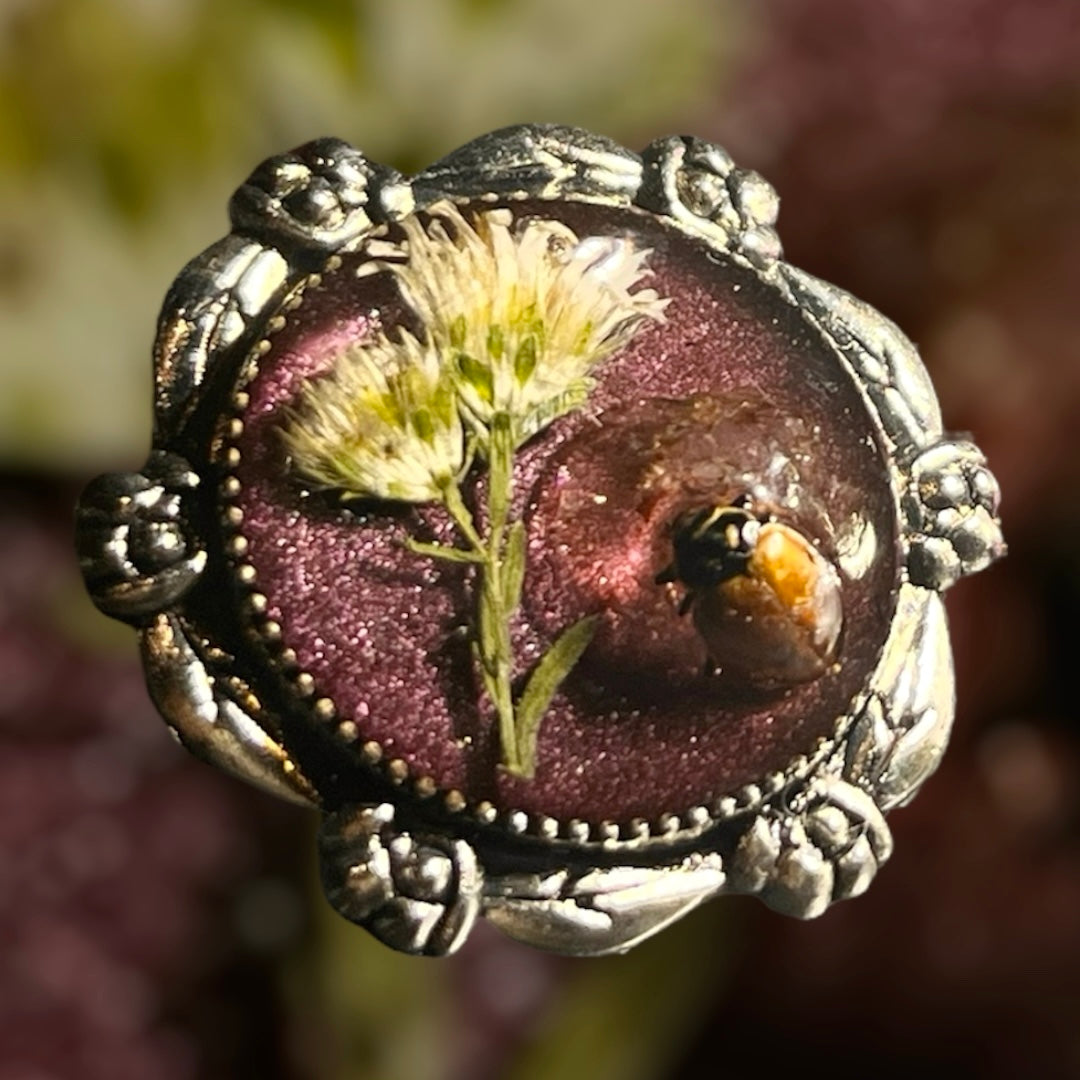 Tiny oddities Rings